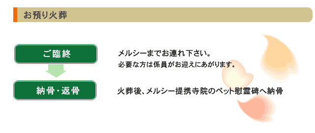 yaΑzՏI[Eԍ